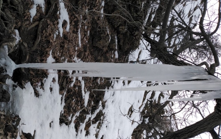 Sason’da Dereler Buz Tuttu