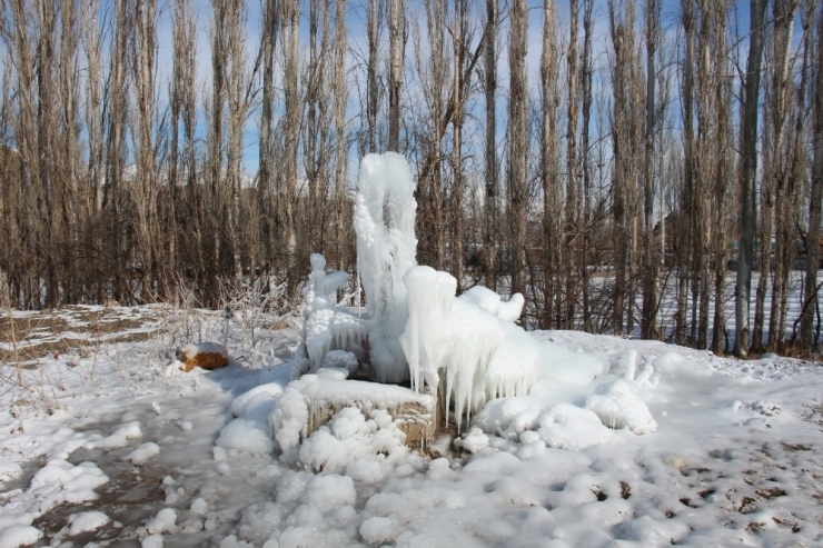 Oltu’da Her Yer Buz Oldu