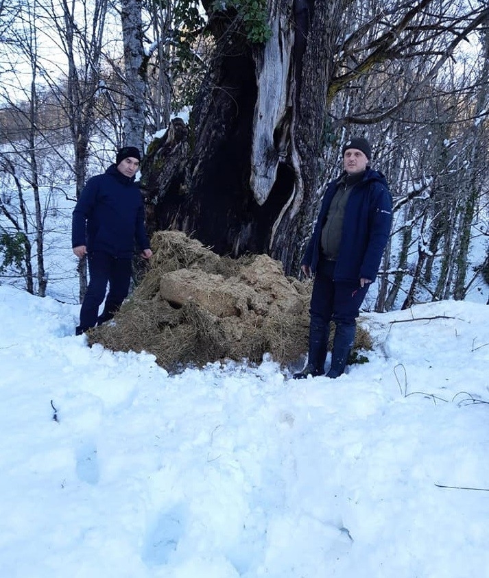 Kar Yağışı Nedeniyle Aç Kalan Hayvanlara Yem Bırakıldı