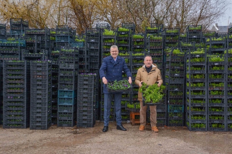 Karacabey Kış Aylarında Da Çiçek Bahçesi Gibi
