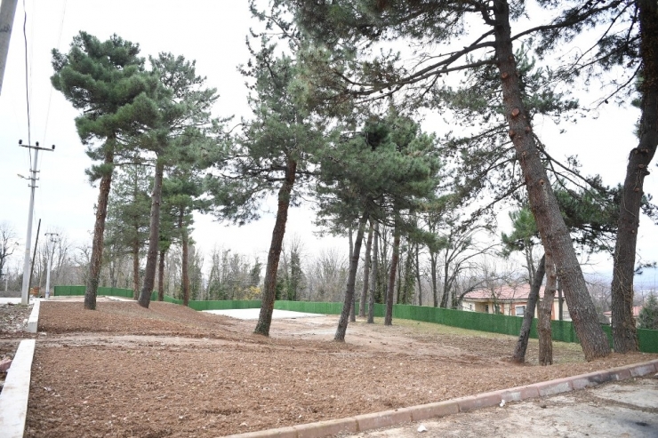 Başkan Kocaman Yeni Yapılan Mesire Alanında İncelemelerde Bulundu