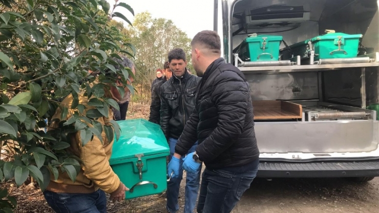 Mevsimlik İşçi Ölü Bulundu