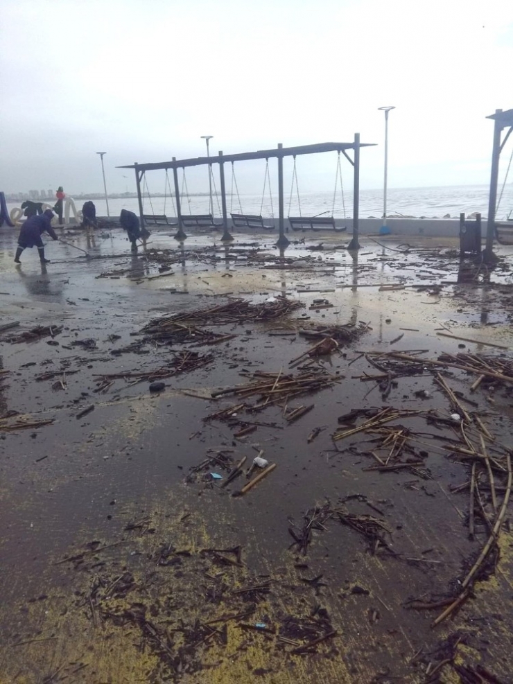 Taşkınlarla Sahile Dolan Odunlar, İhtiyaç Sahiplerine Dağıtılacak