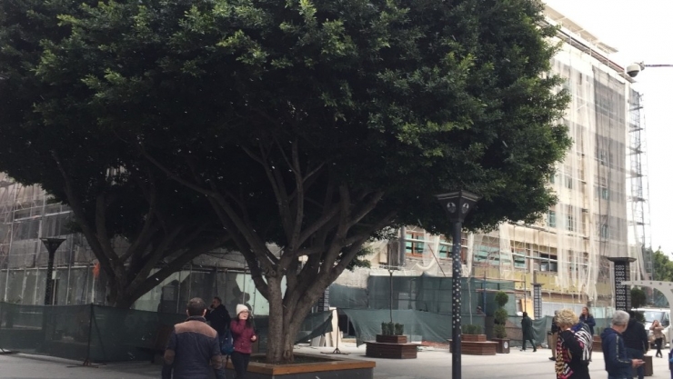 Mersin Kent Merkezinde Kar Sevinci