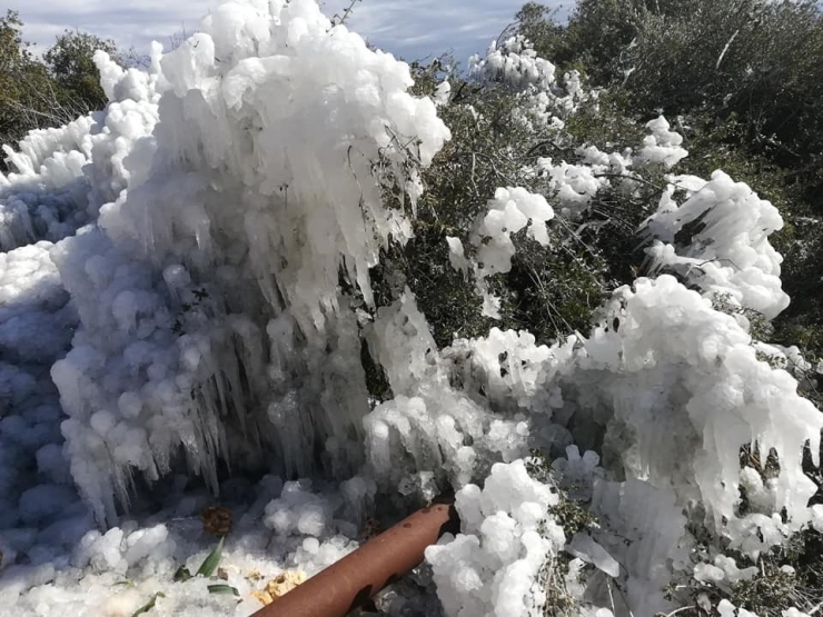 Mersin’de Buz Devri