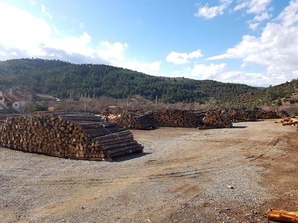 Müdür Keskin: “Orman Emvallerimizi En İyi Şekilde Muhafaza Ediyoruz”