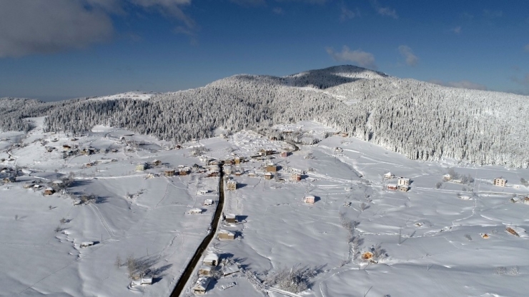 Karadeniz Yaylalarında Kar Güzelliği