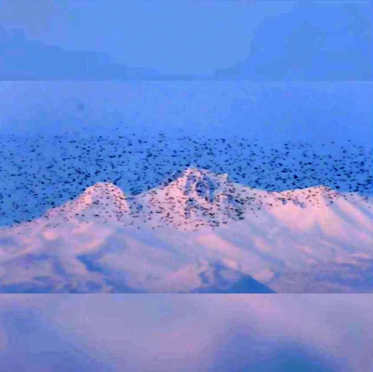 Gökyüzünde Sığırcıkların Dansı İzleyenleri Büyüledi