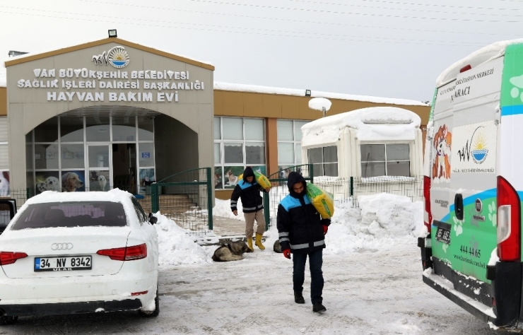 Eksi 15 Derecede Sokak Hayvanlarına Yem Desteği