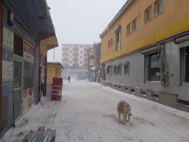 Ağrı’da Tipi Hayatı Felç Etti