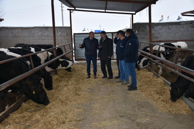 Aksaray’da Hayvancılık İşletmeleri Denetleniyor