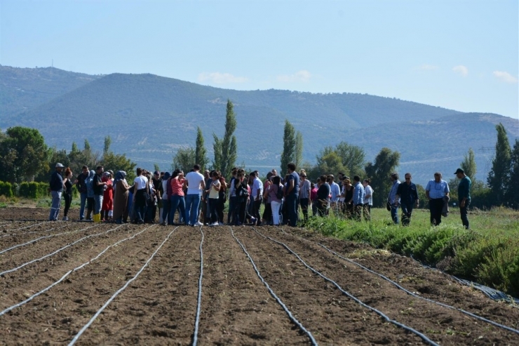 Aromatik Bitki Yetiştiriciliği Kursu Başvuruları Başlıyor