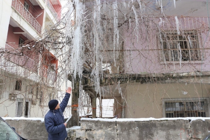 Siirt’te Dondurucu Soğuklar İlginç Görüntüler Oluşturdu