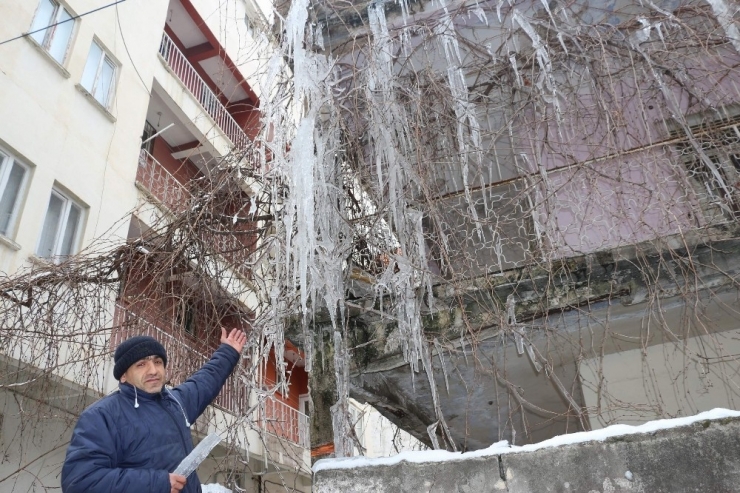 Siirt’te Dondurucu Soğuklar İlginç Görüntüler Oluşturdu