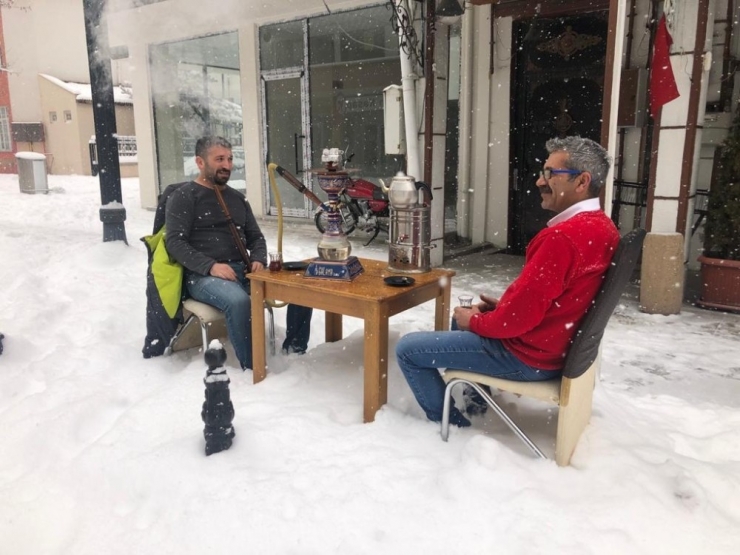 Dondurucu Soğuklarda Safari Gezintisi