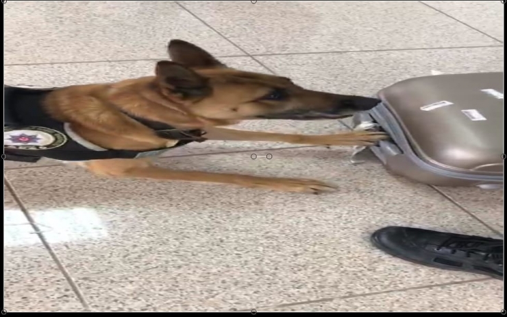 Yurt Dışından Satış İçin Getirilen Uyuşturucu Gümrükte Ele Geçirildi