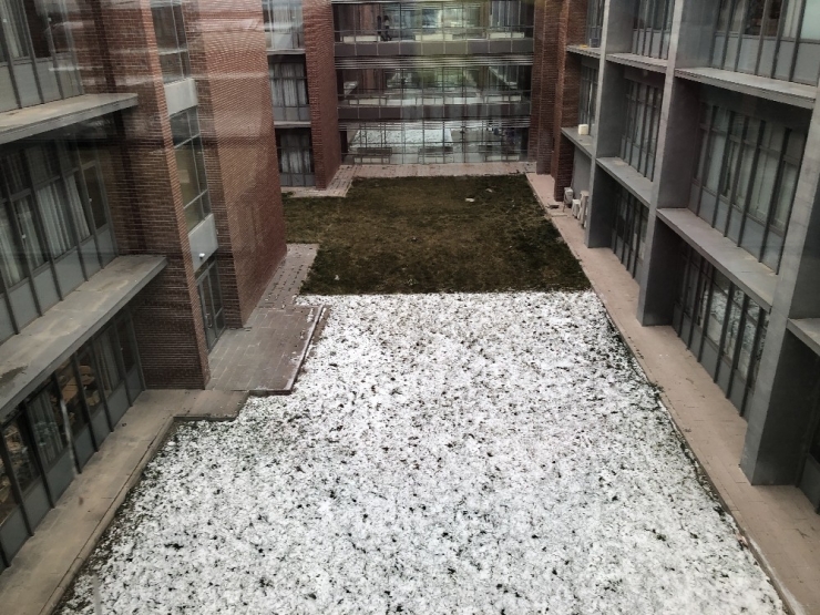 Estü Kampüsünden İlginç Görüntü