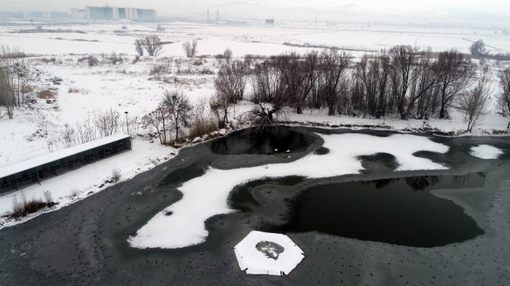 Kayseri’de Göl Dondu