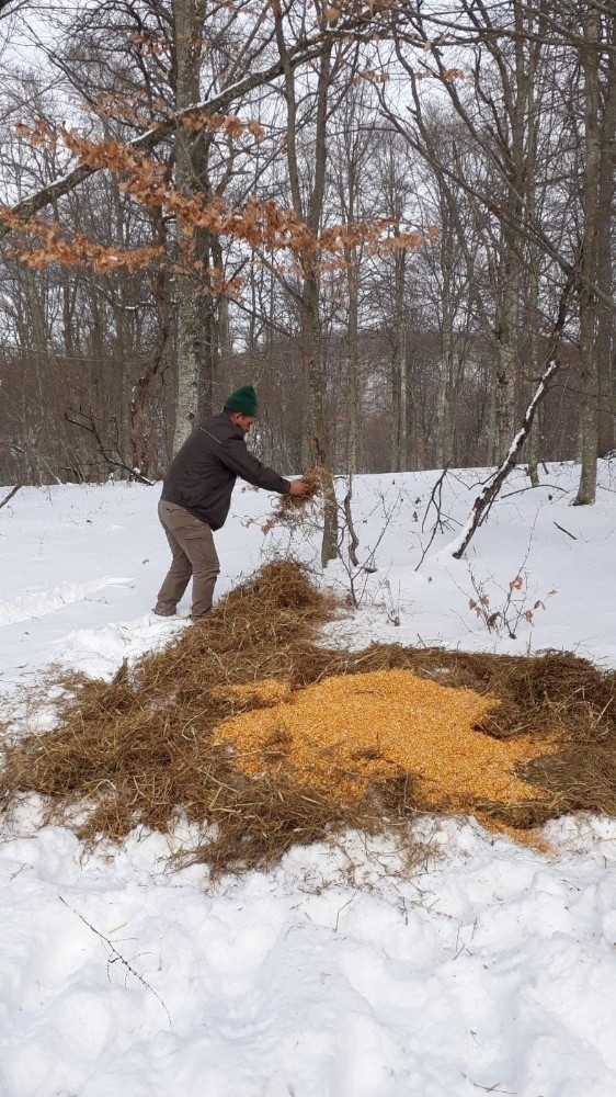 Yaban Hayatı Unutmadılar: 480 Kilo Yem, 300 Kilo Kuru Ot