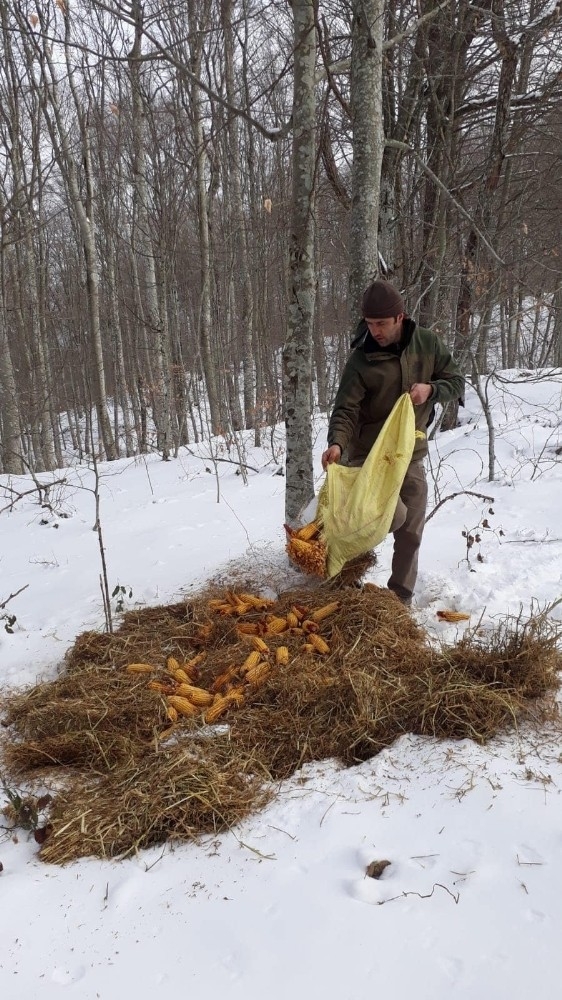 Yaban Hayatı Unutmadılar: 480 Kilo Yem, 300 Kilo Kuru Ot