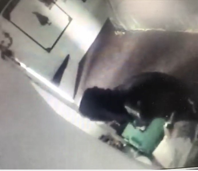 Cemevinden Hırsızlık Yaptı, Borçlarını Ödedi