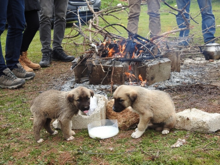 Sınırda Haber Nöbeti Tutan Gazetecilerden Örnek Davranış