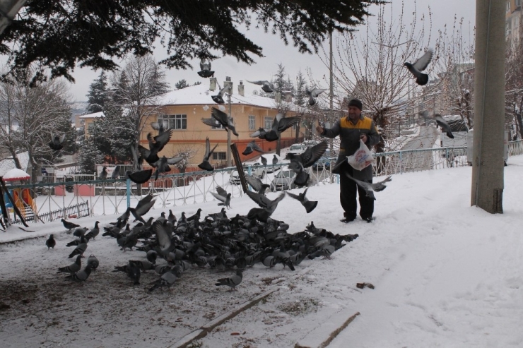 Tosyalı Esnaflar Kuşlara Yem Bıraktı