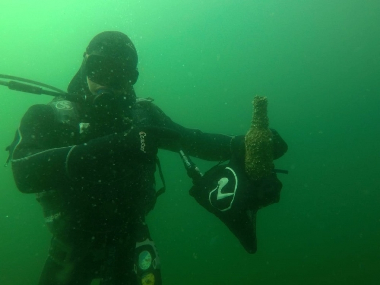 Trakya Üniversitesi Öğrencileri, Çevreye Duyarlı Projeleriyle Takdir Topladı