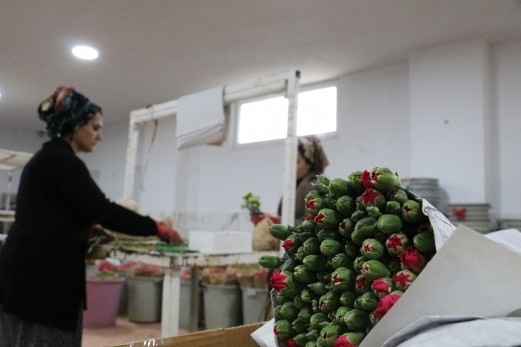 Kesme Çiçek Üreticilerine Sevgililer Günü Dopingi