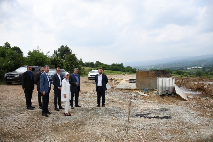 Oylat’a Kardeş Geliyor