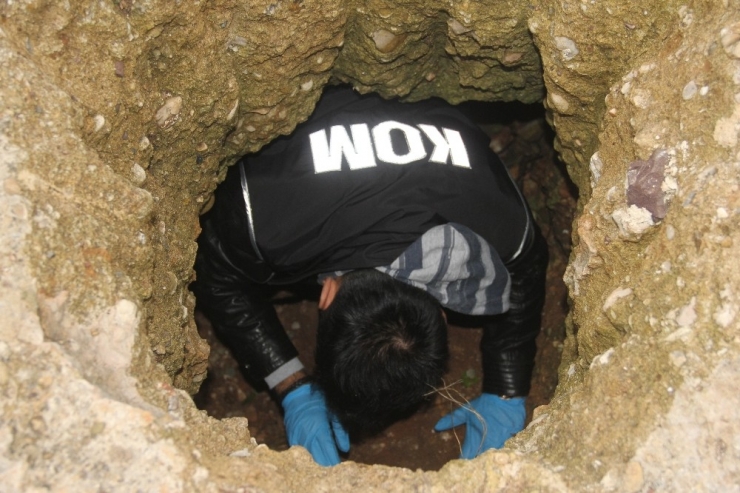 Definecilerin Kazdığı Tepeden Kral Tacı Figürlü Paralar Çıktı