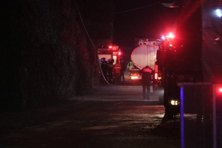 Adana’da Pamuk Yağı Fabrikasında Yangın