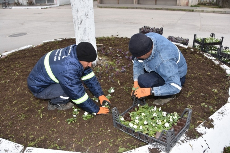Ürettikleri Çiçeklerle Ceyhan’ı Süslüyorlar
