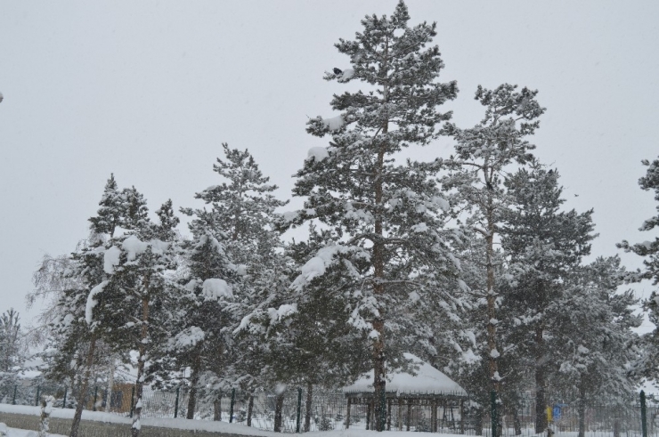 Ağrı’da Kar Yağışı Hayatı Olumsuz Etkiliyor