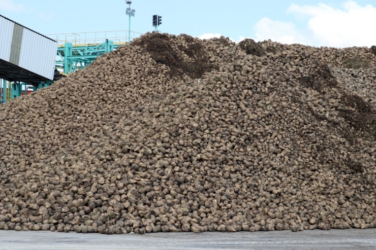 Müjdeyi Verdi, Ödemeler 24 Şubat’ta Yapılacak