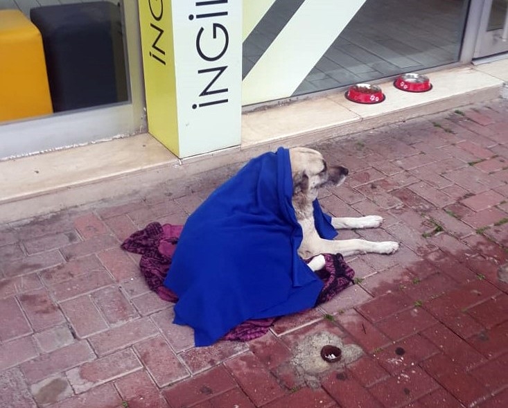 Antalya’da Zabıtadan Örnek Davranış