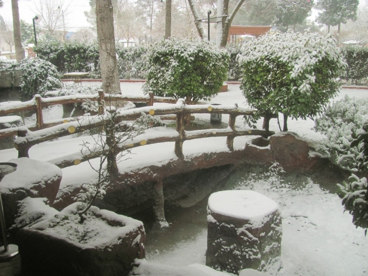 Araban’da 10 Yıl Sonra İlk Kez Yoğun Kar Yağışı