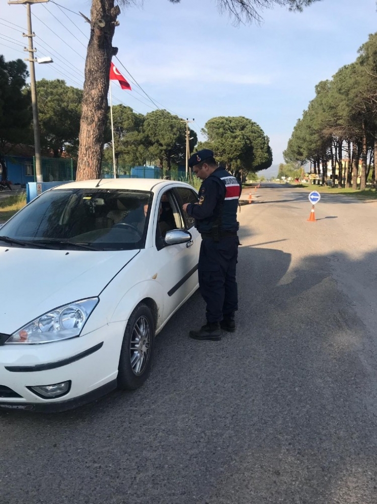 Jandarmadan 51 Aranan Kişiye Operasyon