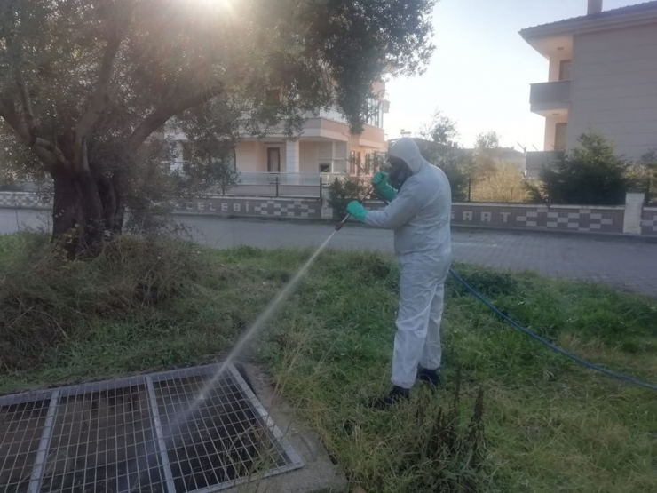 Sinekle Mücadele Çalışmaları Başladı