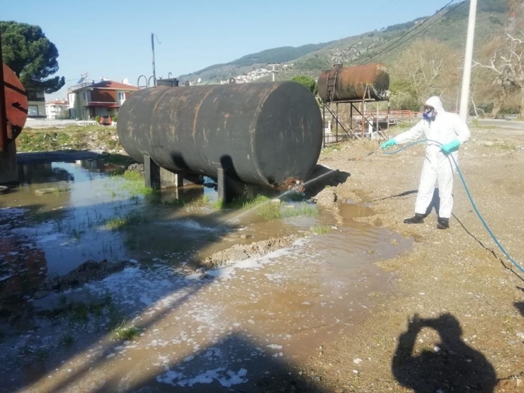 Sinekle Mücadele Çalışmaları Başladı