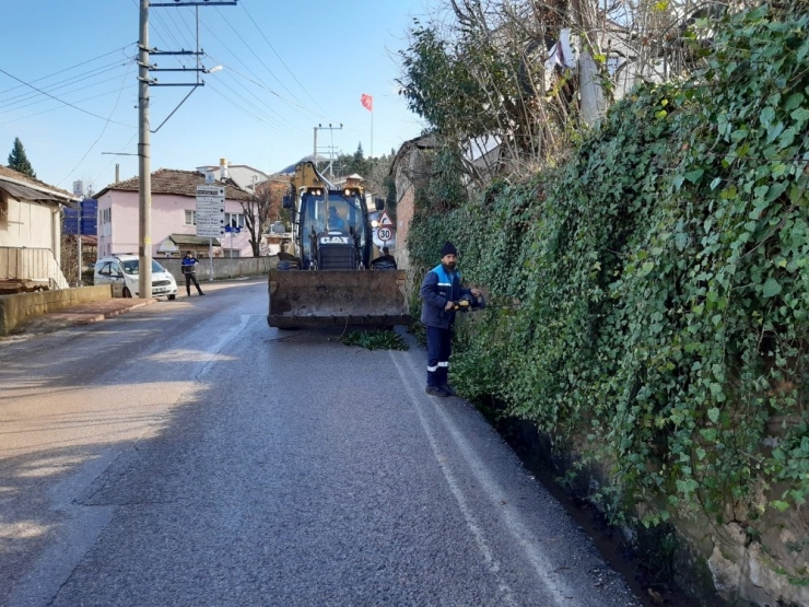 Başiskele’de Ağaç Budama Çalışmaları Sürüyor