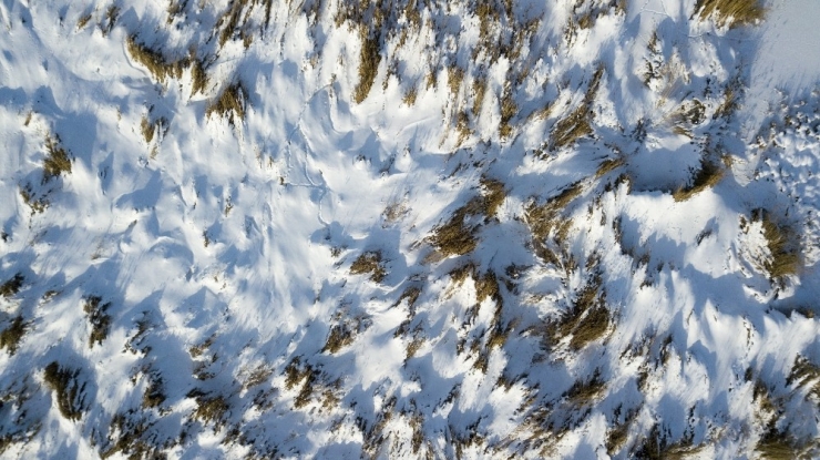 Ahlat’taki Kuş Cenneti Dondu