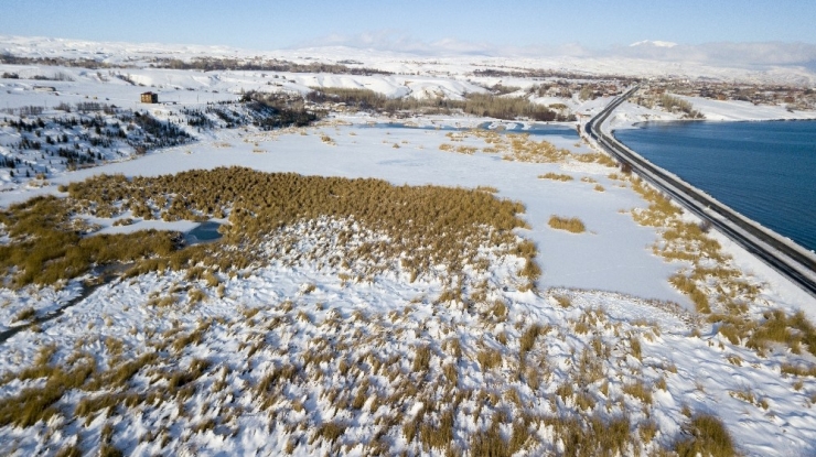 Ahlat’taki Kuş Cenneti Dondu
