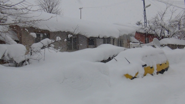 Bitlis’te Tipi Ve Sis Hayatı Felç Etti