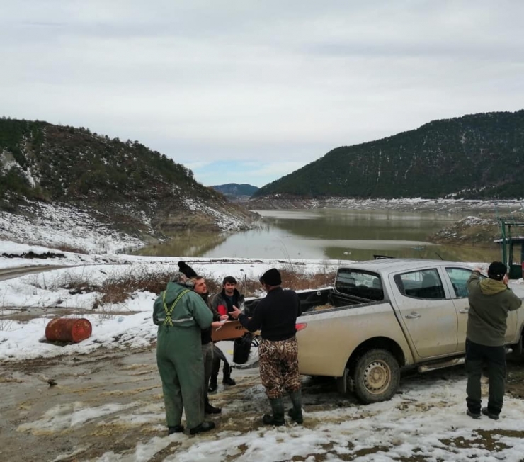 Bolu’da Kaçak Avlanan 3 Kişiye 5 Bin Tl Ceza Kesildi