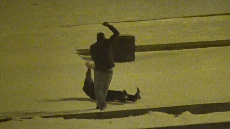 Diyarbakırlılar Kartopu Oynayarak Eğlenceli Dakikalar Geçirdi