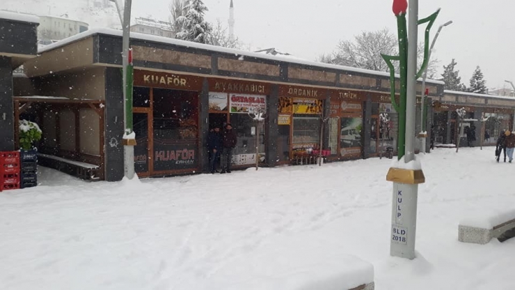 Kulp’ta Kar Yağışı Hayatı Olumsuz Etkiledi