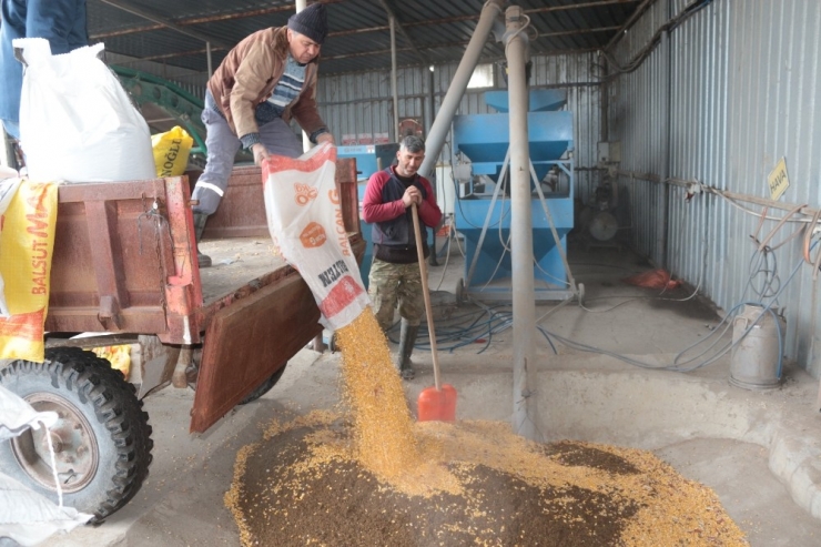 Kendi Yemlerini Kendileri Üretiyor