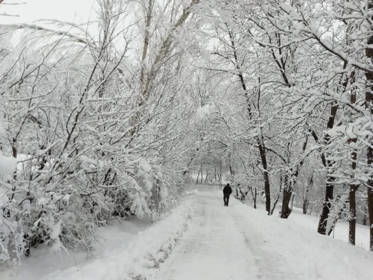 Hizan’da Kar Yağışı Nedeniyle Okullar Tatil Edildi