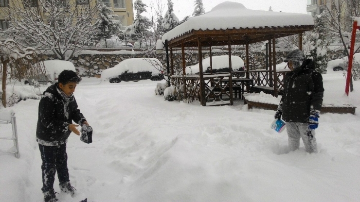 Kar En Fazla Çocukları Sevindirdi, Sürücüleri Üzdü